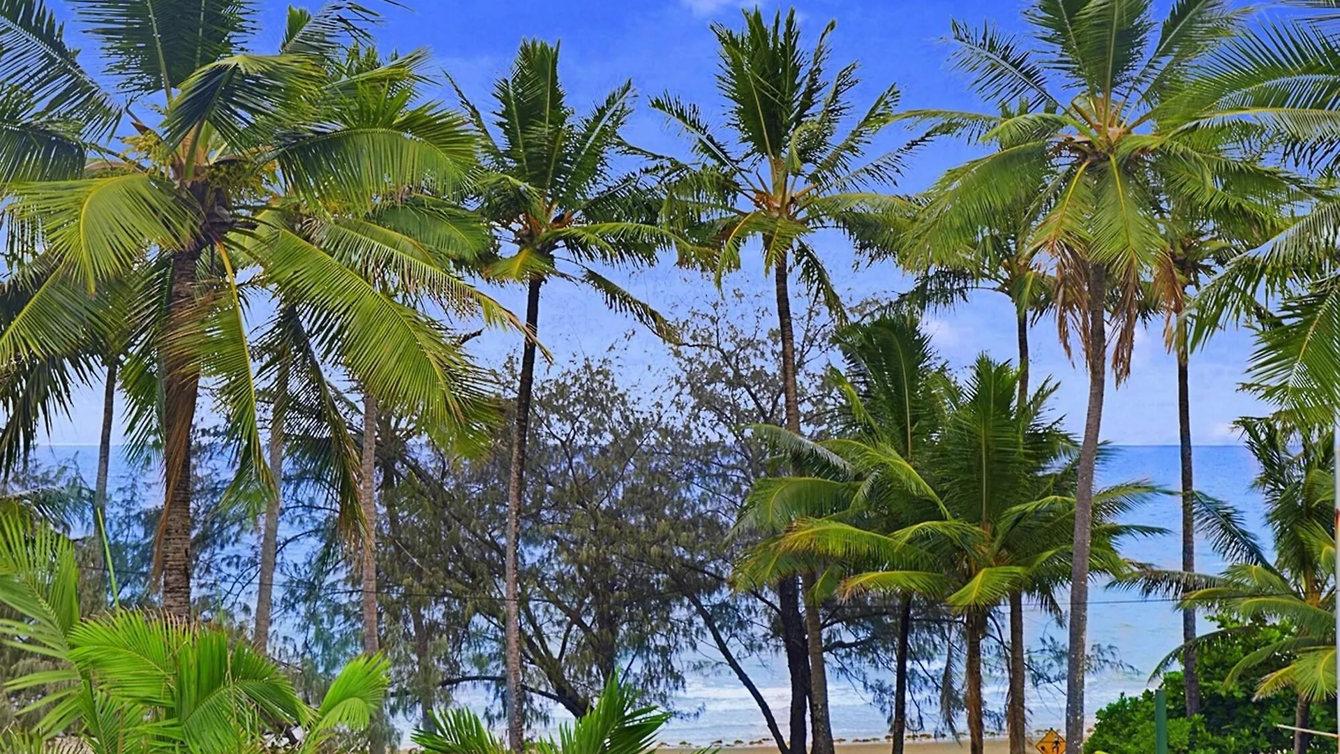 By The Sea Port Douglas